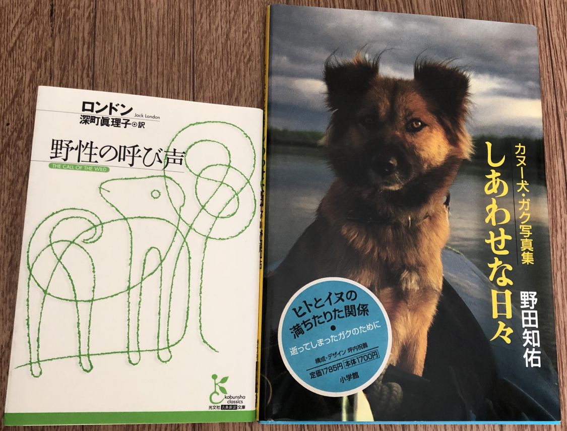 自然の中で生きる犬の物語 野性の呼び声 からガク写真集の話 Be Pal