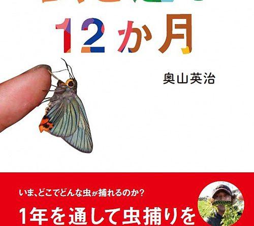 虫と遊ぶ12か月