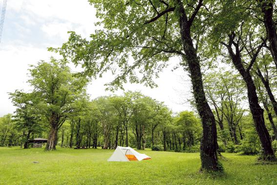 笹ヶ峰キャンプ場