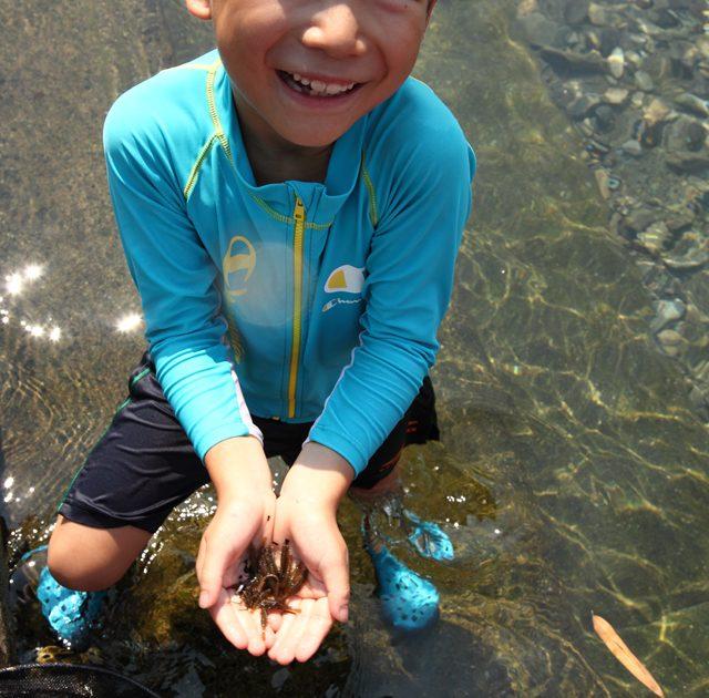 子供と川遊びデビュー 小川で魚を捕まえる基本ワザ ガサガサ編 自然観察 Be Pal キャンプ アウトドア 自然派生活の情報源ビーパル 子供と川遊びデビュー 小川で魚を捕まえる基本ワザ ガサガサ編 自然観察 Be Pal キャンプ アウトドア 自然派生活の情報源ビーパル