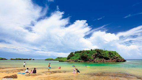 この夏いきたい！ 東洋のガラパゴス！ 西表島の魅力とは？