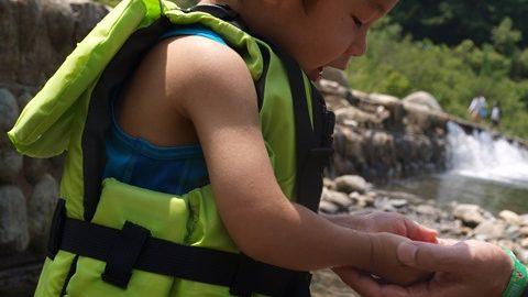 子どもと水遊びする時の必需品！モンベルのキッズ用ライジャケを使ってみた