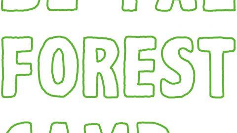 『BE-PAL FOREST CAMP 2015』　タイムテーブル発表!! 10/17-18　山梨県北杜市で 、お待ちしてます！