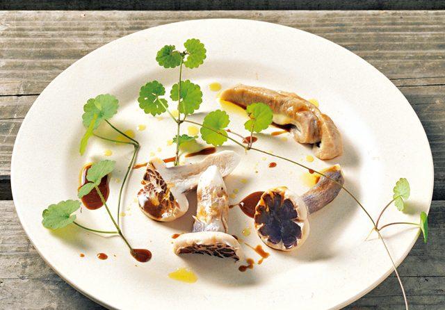 ムラサキヤマドリダケ