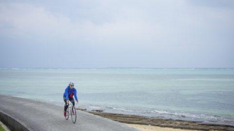 沖縄再発見！やんばるの自然に触れる旅 vol.2　本部、今帰仁を深く知ろう