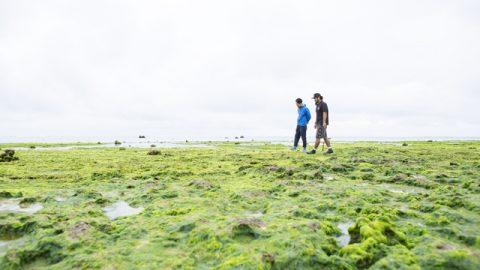 暮らすように旅しよう！ 地元の知恵に学ぶ、沖縄再発見の旅。（その２）