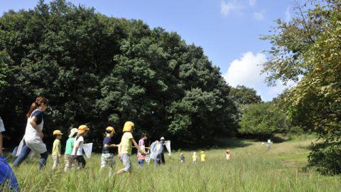 【日本のミライを明るくする！】「園児野生化計画」～2016☆始動～