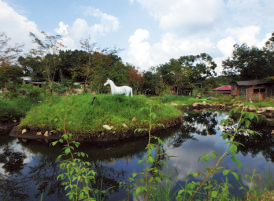 RVパークの池と白い馬