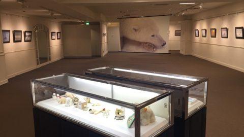 癒され度満点の“シロクマ”に会える写真展へ行こう！