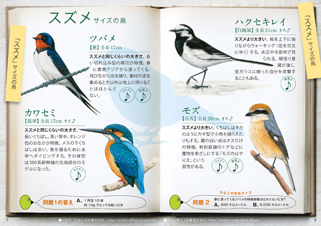 日本野鳥の会 のことを知りたい 探鳥会 に行ってみた 前編 Be Pal