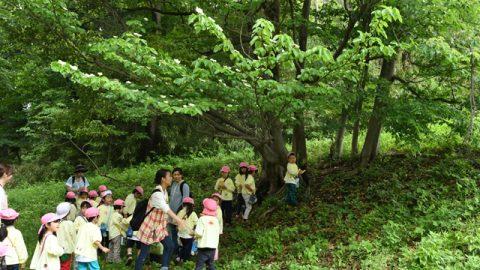 【日本のミライを明るくする！】「園児野生化計画」～雨でもただじゃ帰らない～