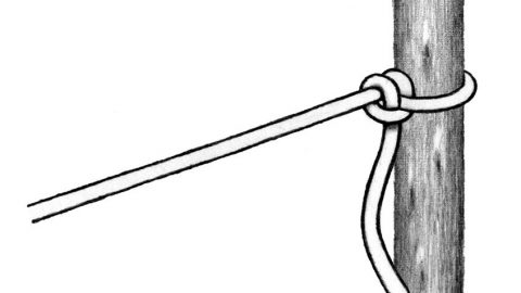 【ロープワークの基本】ふた結びの結び方と用途とは？