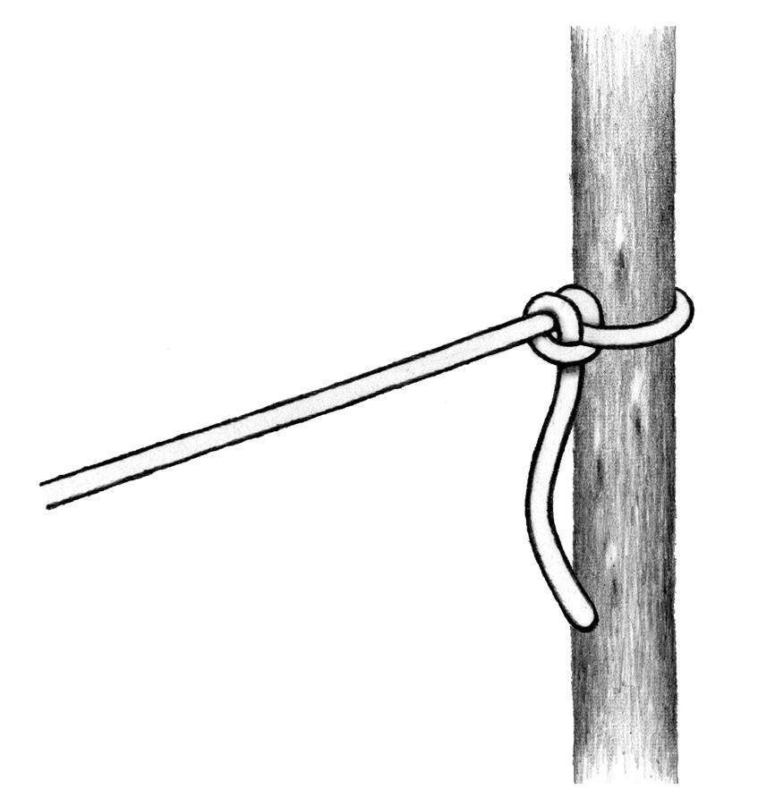 結び方 首吊り ロープ