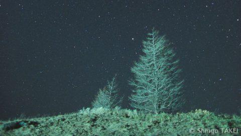 僕を夜空の世界へいざなってくれた星。【武井伸吾の星空写真館】