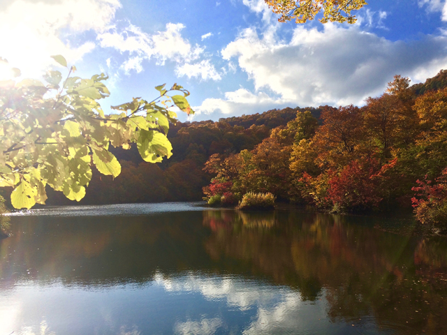 キャンプ場近くの鎌池の紅葉。秋の彩り。
