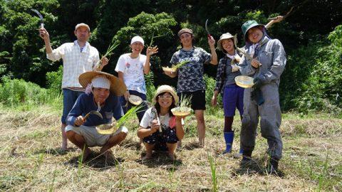 旅人と地元メンバーで、自然農法田んぼ!愛知県南知多町『南知多ゲストハウスほどほど』