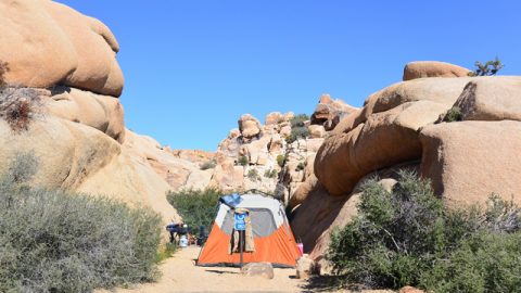 【一度は行きたい！米国アウトドア最新事情】カリフォルニア女子旅Vol.4　「ジョシュア・ツリー国立公園」のキャンプ場がすごかった！