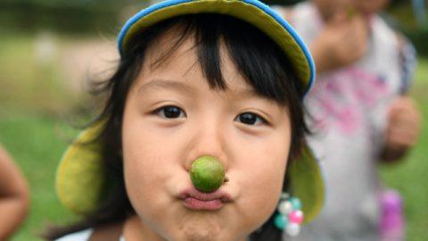 【日本のミライを明るくする！】「園児野生化計画」～椿の実×創造力=無限の遊び～