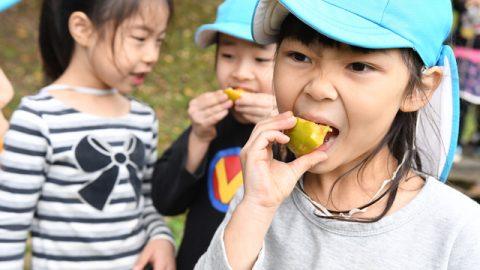 【日本のミライを明るくする！】「園児野生化計画」～幼児公式柿盗み講座～