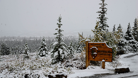 【アラスカ・デナリ国立公園の旅2】いよいよキャンプ！……と思ったら、いきなり雪？！