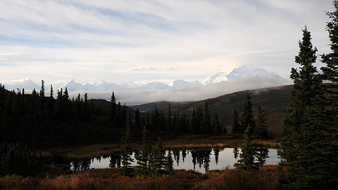 【アラスカ・デナリ国立公園の旅5】アラスカの伝説的なウィルダネス・ロッジ「キャンプ・デナリ」に泊まる