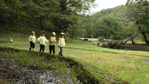 【日本のミライを明るくする！】「園児野生化計画」～泥沼の攻防戦～