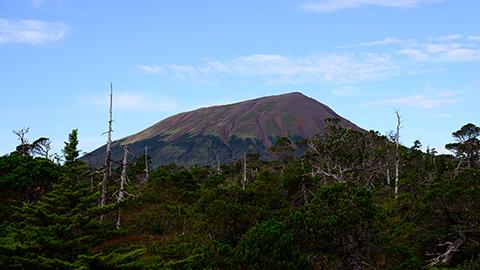 静寂の中に満ちあふれる、生命の気配。アラスカ・クルーゾフ島の深き森を歩く