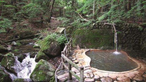 秘湯に行こう！　森林浴と入浴が同時に楽しめる【栃木県・不動の湯】