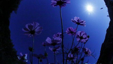 月光写真家・石川賢治、30年間のベストショットと初公開作を加えた写真展が開催されます！