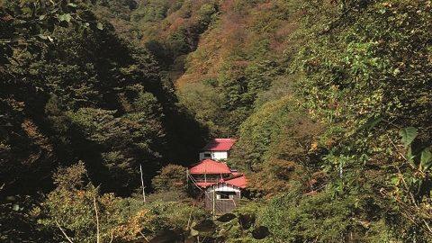 20分だけハイキングを楽しんで「秘湯」に行こう！【群馬県・金湯館】