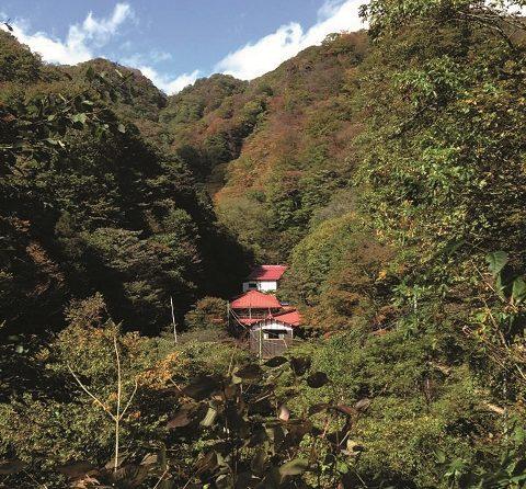 20分だけハイキングを楽しんで「秘湯」に行こう！【群馬県・金湯館】