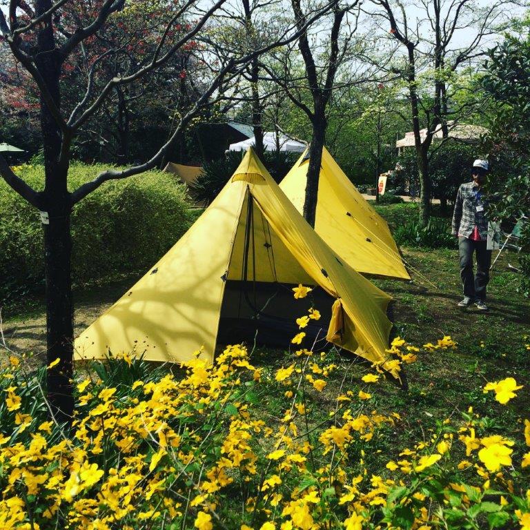 黄色テント