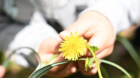 日本の未来は「幼児脳」にあり！子どもが里山で見つけた＜丸いもの＞ベスト３。