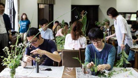 外来種植物を知って、採集して、生ける！ 「いけばなワークショップ」参加者募集