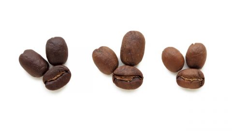 コーヒーの味を決める「煎り」と「挽き」を正しく理解していますか？