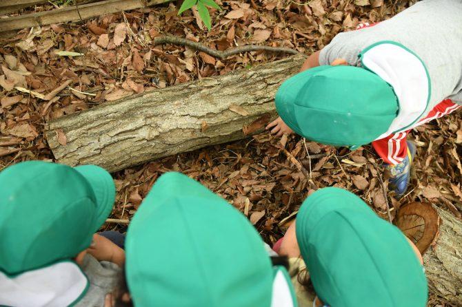 コレが子どもの成長の瞬間だ！「怪しい後ろ姿」を見逃さないように。
