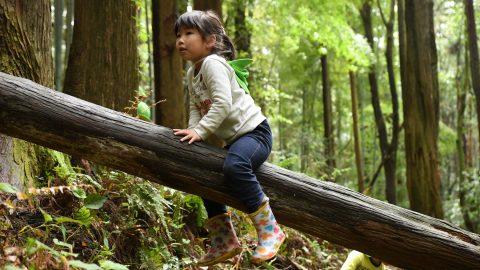 そっと見守るのが面白いんです。幼児を森の中に放つと起きること。