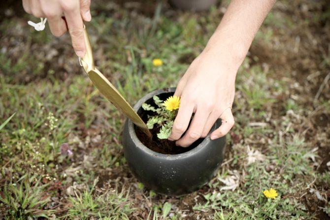 「ベランダ農園」のすすめ