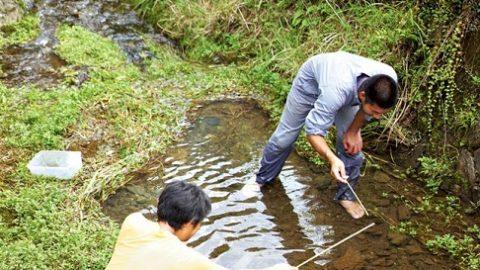 「ヨシノボリの見釣り」って何？