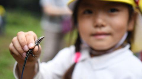 生き物をさわる学