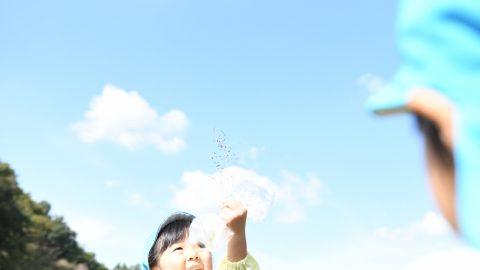 「みてみて期」３歳児は何を見てほしいのか？