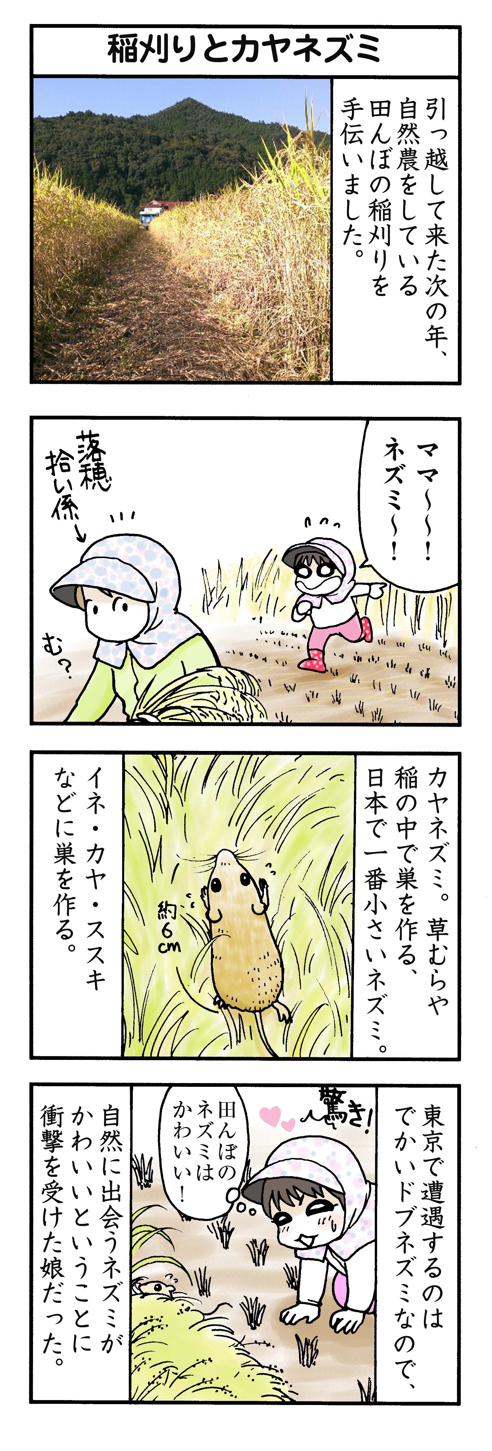 田舎 を 紹介 漫画