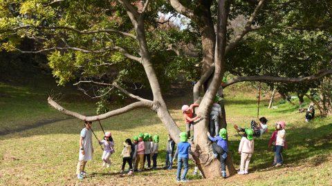 公園のシンボルツリーは子ども達のテーマパークだ！