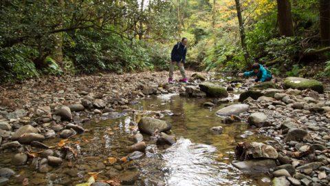 葉山を流れる川の源流をたどりながら、逗子の二子山までハイキング！