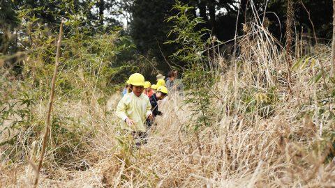 幼児が森の中を自由に駆けまわると何が起きる？