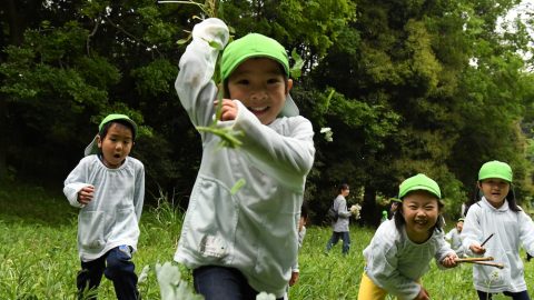 春の野山で幼児を解き放ってみる