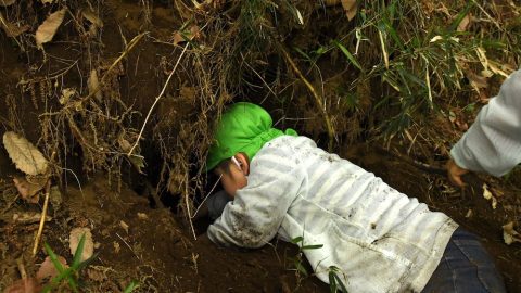 探検隊へようこそ。幼児は大人の欲求をいとも簡単に行動する