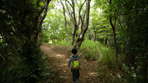 【親子でのんびり鎌倉ハイキング】鎌倉三大緑地のひとつ、台峯緑地を行く