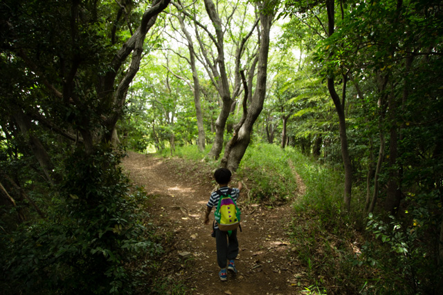 【親子でのんびり鎌倉ハイキング】鎌倉三大緑地のひとつ、台峯緑地を行く