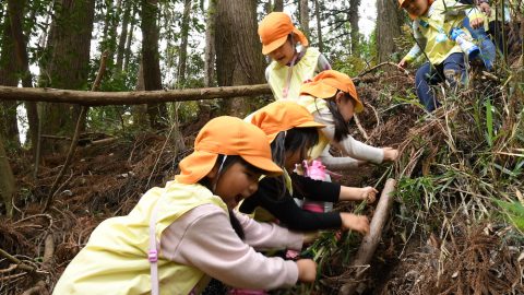 幼児と未知のフィールドを遊びつくしに行く！